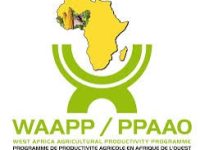 WAAPP - PPAAO
